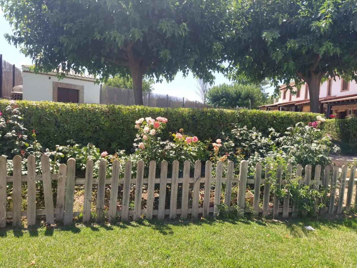 Casa Rural Alamillo Luque エクステリア 写真